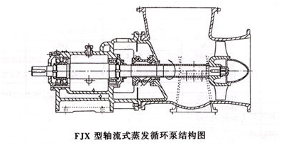 FJX蒸发强制循环泵结构图